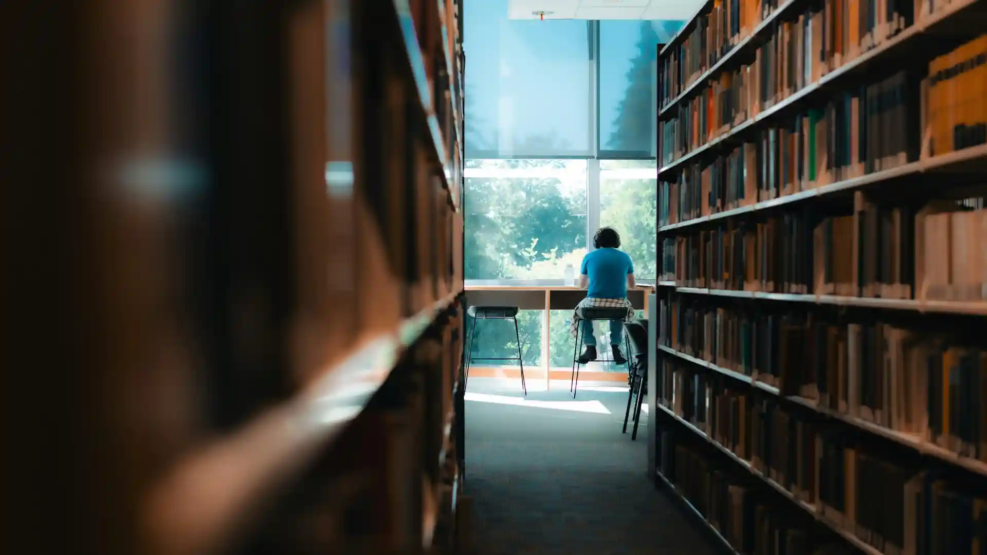 IRCC increases off-campus work limit to 24 hours for international students in 2025